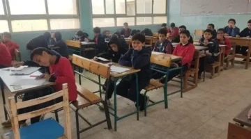 برقم الجلوس.. طريقة الاستعلام عن نتائج الصف الثالث الابتدائي عبر موقع الوزارة